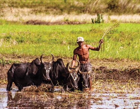 Circuit Merveilles de Madagascar - 3