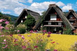 Samourais et Jardins zen + Alpes japonaises avec Emirates - Japon - 2