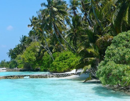 Circuit Splendeurs du Sri Lanka & Extension Maldives Hôtel Fihalhohi Island 4* - Asie, Sri Lanka, Colombo - Image 1