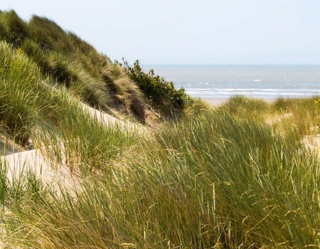 Dromen aan zee in het prachtige Nieuwpoort - 4*