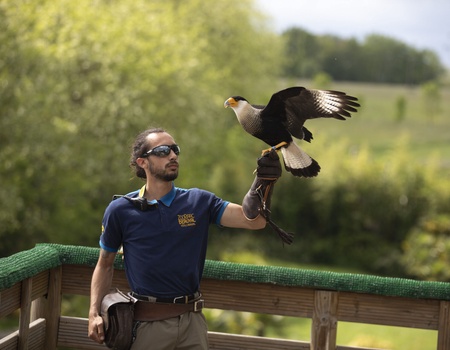 OFFRE EXCLUSIVE - Zoo de Beauval - Hôtel Les Hauts de Beauval 3* - Parc Zoo de Beauval, Centre - Image 3