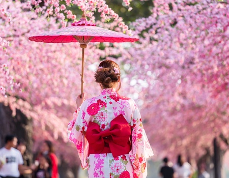 Combiné : Japon Corée avec activités - 4* ou supérieur* - Seoul, Corée du Sud - Image 1