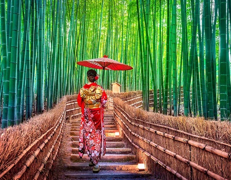 Circuit L'âme du Japon - 1