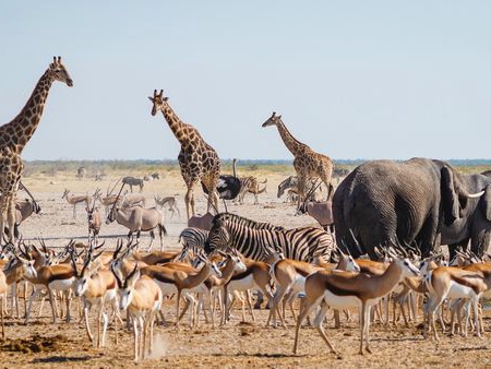 Circuit Merveilles de Namibie et Séjour Chobe et Chutes Victoria 18J/15N - 5