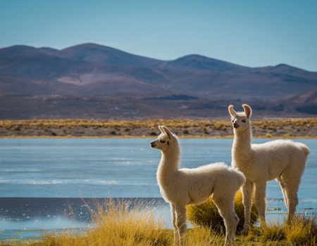 Circuit Authentique Pérou 3* - 2