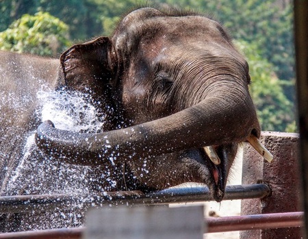 Circuit Thaïlande Authentique en Privatif - 5