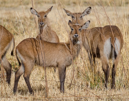 Circuit Sur la route des pêches - 5