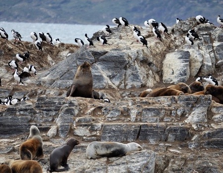 Circuit L'Argentine des grands espaces + pré-tour Ushuaia et El Calafate (maximum 16 participants) - 2