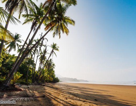 2026 - Circuit Costa Rica, où la nature prend vie - 25 personnes maximum - 3