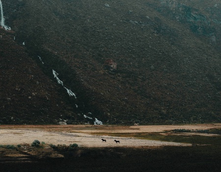 Circuit Sur la trace des Incas : de la Vallée Sacrée aux rivages de Paracas - 2