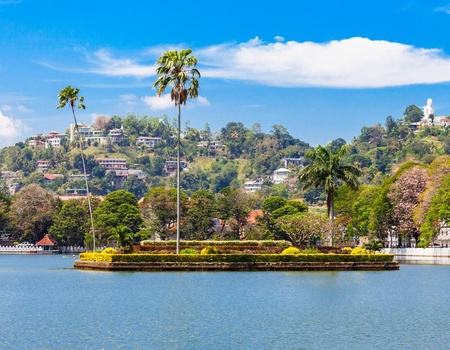 Circuit Balade Sri Lankaise privative et Oclub Experience Pandanus beach resort Spa 5* - 4