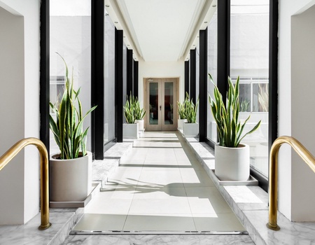 PLAZA REGENCY HOTEL 3* (NL) - 5