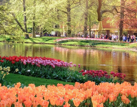 Wellness à Scheveningen avec accès à Keukenhof ! - 4* - 1
