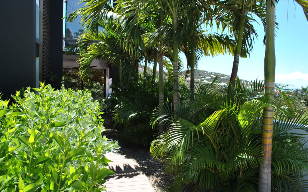 Rêve de Saint Barth - 5