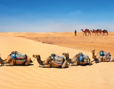 Circuit Balade Tunisienne - 4