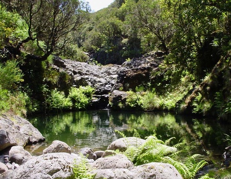 Circuit Echappée Sentiers de Madère depuis le Madeira Panoramico 4* - 4