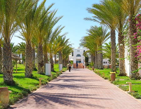 Hôtel Club Palm Azur 4* - 1