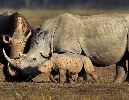 Circuit Safari Kifaru - 3