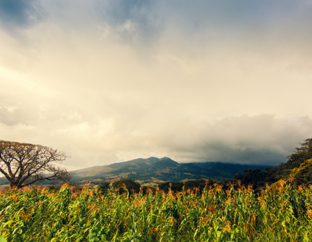 Circuit Autotour Faune & Flore du Costa Rica - 4