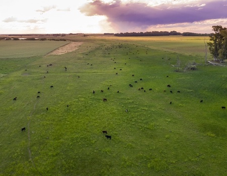 Circuit Privatif Tango, Pampa et Chutes d'Iguazu - 3