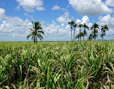 Circuit Plages du Jumbo Marien Puerto Plata et aventures dans le nord dominicain - 4
