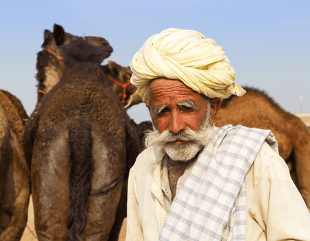 Circuit L'inde sacrée en privatif... Découverte, yoga et méditation - 5