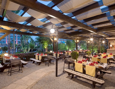 Aydinbey King's Palace & Spa 5* - 4