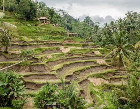 Mon Circuit Privé Evasion au Sud de Bali - Bali, Indonésie - Image 5