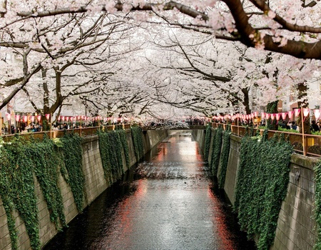 Séjour Tokyo en 3* ou 4* - Tokyo, Japon - Image 3