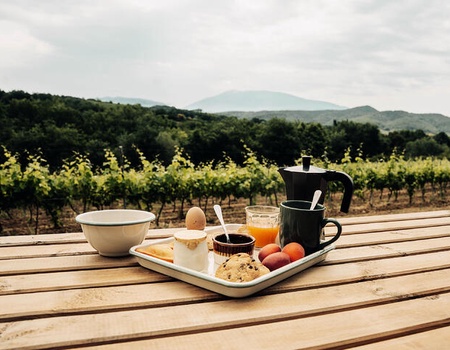 Tiny House-Domaine Bernard : domaine viticole avec vue sur le mont Ventoux - Vaucluse - Saint-Romain-en-Viennois, Côte d'Azur - Image 3