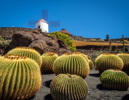 Autotour Sur les routes de Lanzarote en liberté, Hôtel BLUESEA Alyssa Suites 4* (ex Labranda) - 5