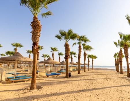 Club Jumbo Amwaj beach club abu soma 4*