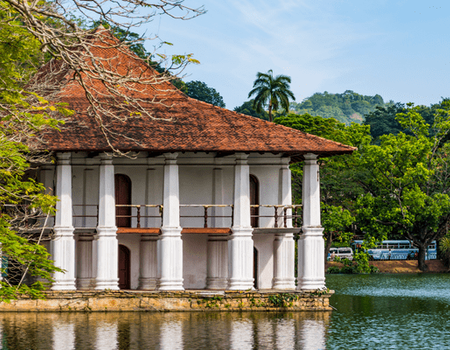 Circuit Découverte du Sri Lanka - 3