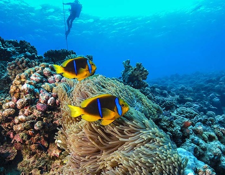 Circuit Divine Polynésie, de Tahiti à Bora Bora - 2