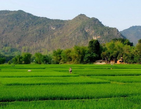 MOSAIQUE VIETNAMIENNE - 4