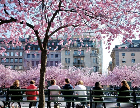 Séjour à Stockholm - Stockholm, Suède - Image 4