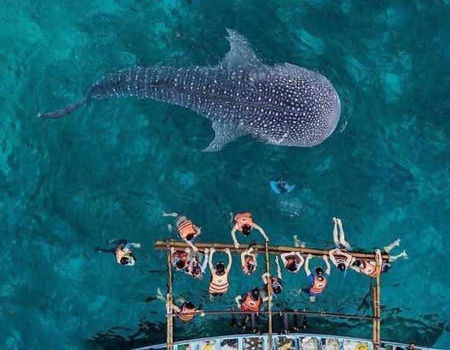 Circuit privé, Découverte des Philippines 11 nuits - 3