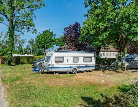 Camping Ile du Rhin - 4