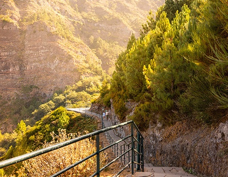 Circuit Madère Authentique : entre falaises et levadas **** - 2