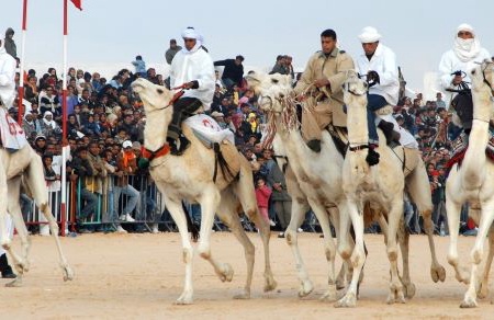 Circuit Le Grand Tour De La Tunisie - 5