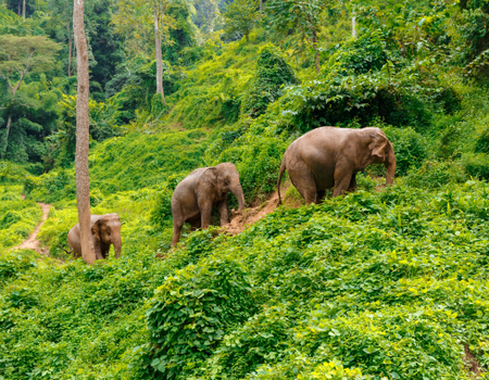 Circuit Trekking et Aventures, sur la Piste des Tribus du Nord - 2