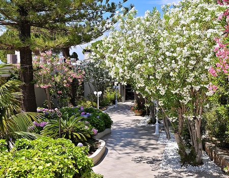 Hôtel Dolce Vita 4* - 5