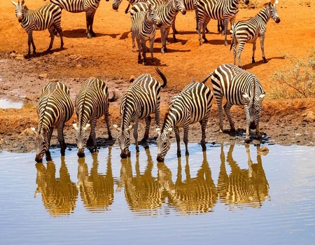 Circuit Entre safari et rencontres Maasaï - 3