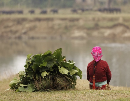 Immersion au Népal - Népal, Asie - Image 5
