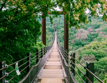 Circuit Japon Eternel, Temples et Torii au Pays du Soleil Levant - 5