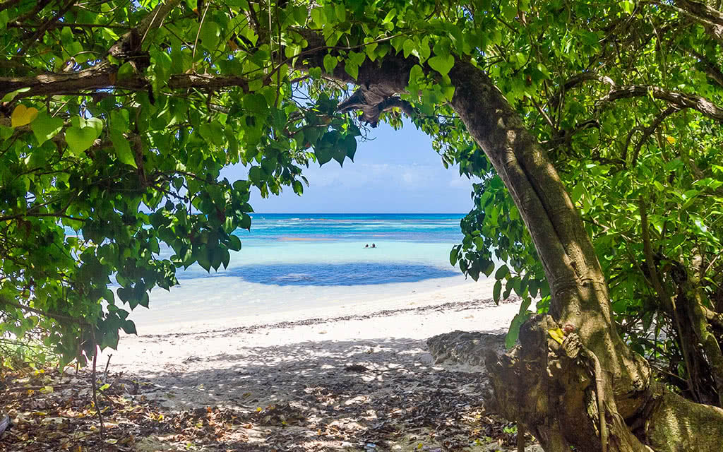 Les Kaz Créoles - 3