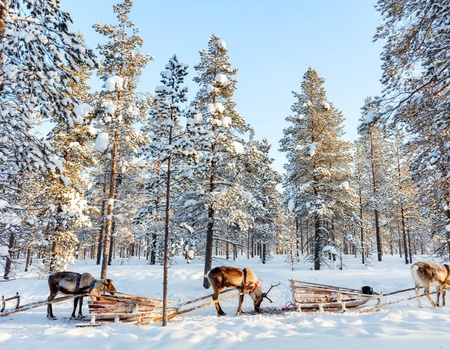 Séjour Multi-activités Réveillon du Nouvel An à l'hôtel Saaga 7J/6N