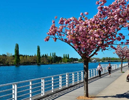 Escapade thermale privée à 2 heures de Lyon, vichy - 3* - Allier - Vichy, Auvergne - Image 2