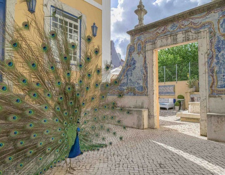 Circuit privé Lisbonne en 4 nuits : Hôtel de Charme 4* et Aventures Urbaines - 5