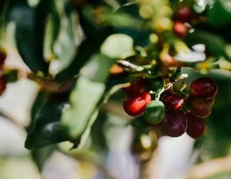 Combiné hôtels Loin du monde : séjour secret sur les rivages costaricains - 4